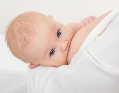 Miniatura: Nukleotydy w mleku modyfikowanym - co...