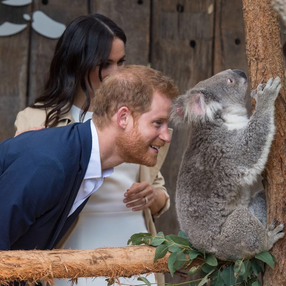 Para książęca podczas wizyty w Australii 