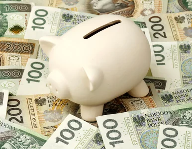 Miniatura: Wielkie kuszenie wyborcy. Konsekwencje...