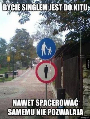 Mem na Dzień Singla 