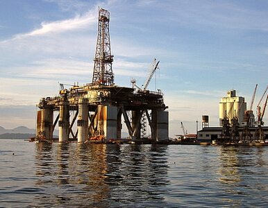 Miniatura: BP pokryje koszty usunięcia ropy z Zatoki...