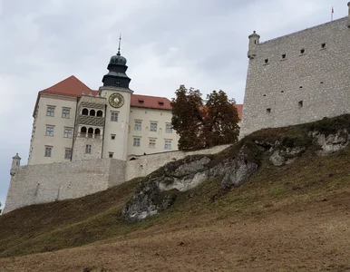Miniatura: Ile wiesz o polskich zamkach? 10/10 dla...
