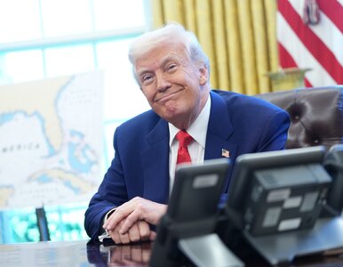Miniatura: O co chodzi w wojnie celnej Donalda...