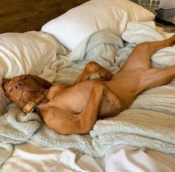 Sophie 