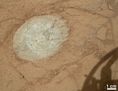 Miniatura: Sensacyjne odkrycie Curiosity - Mars wcale...