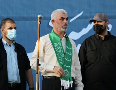 Miniatura: Hamas zaprzecza związkom z Białorusią. „To...