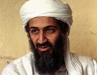 Miniatura: Ukrywający się bin Laden był zatrzymany...
