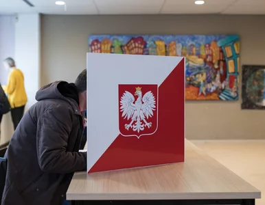 Miniatura: Sojusz opozycji w wyborach samorządowych?...