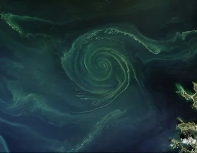 Miniatura: Tajemniczy „zielony wir” pojawił się na...