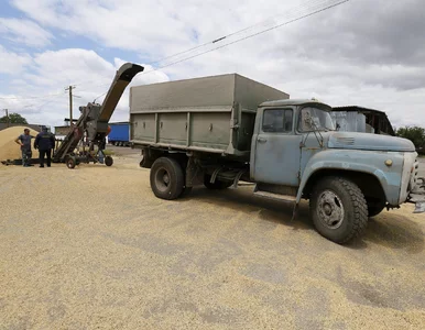 Miniatura: Spór o zboże z Ukrainy. Wojskowi: Coś pęka...