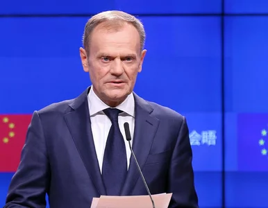 Miniatura: Donald Tusk wystawi swoją listę do Senatu?...