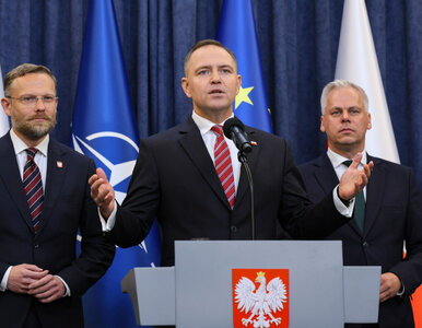 Miniatura: „Uderzenie w polskie rodziny". Iskrzy po...