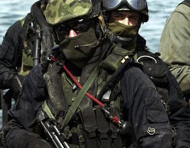 Miniatura: Polscy komandosi przejmą dowództwo w NATO