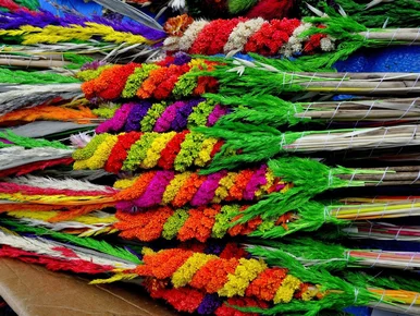 Miniatura: Takiej Niedzieli Palmowej nie było od...