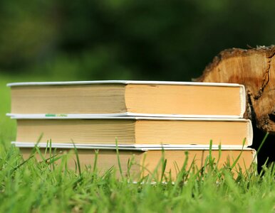 Miniatura: Jesteś miłośnikiem literatury? Uzupełnij...
