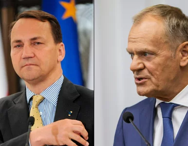 Miniatura: Radosław Sikorski wicepremierem? "Tusk...