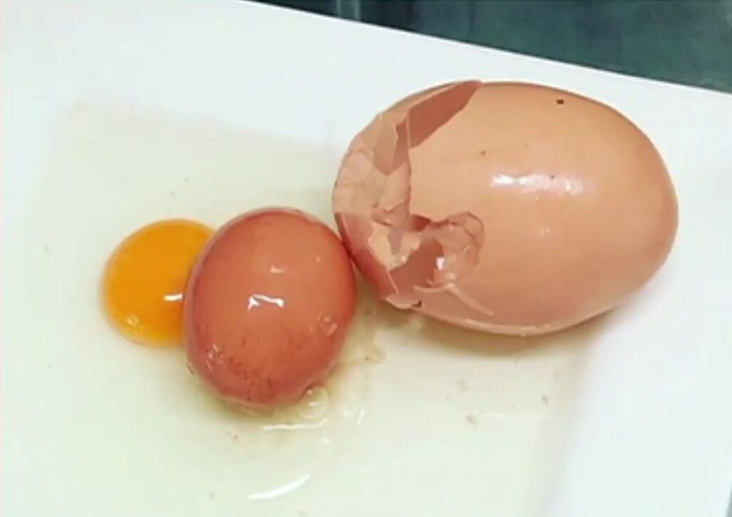 Jajko zniosła kura rolnika Scotta Stockmana 