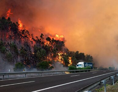 Miniatura: Pożary pustoszą kolejny kraj w Europie....