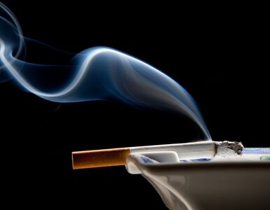 Miniatura: Ostatnia przerwa na papierosa dla Bułgarów
