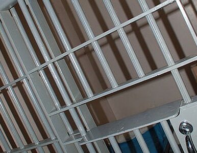 Miniatura: Szwedzi oczyszczeni z zarzutu terroryzmu,...