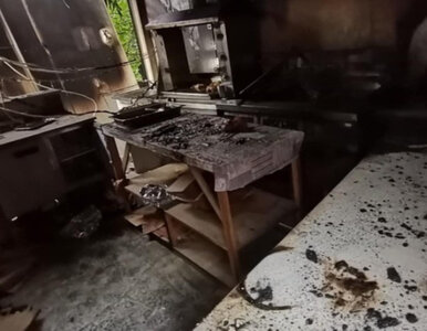 Miniatura: W budce z kurczakami wybuchła butla z...