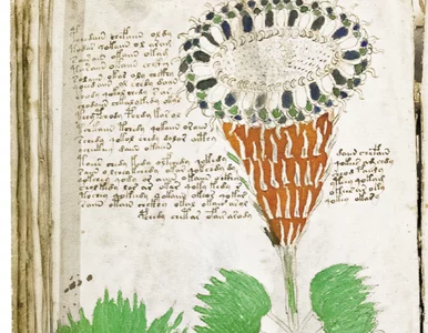 Miniatura: Książka, której nikt nie przeczytał