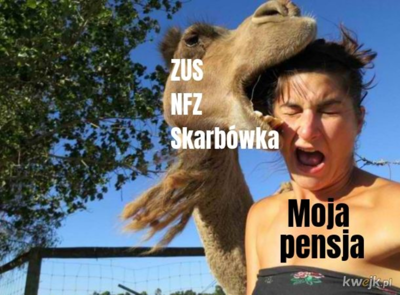 Mem o ZUS-ie 