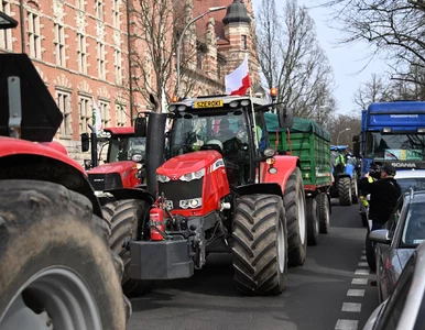 Miniatura: Walkower w Pucharze Polski. W tle chodzi o...