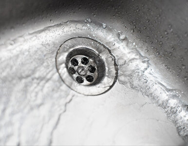 Miniatura: Co naprawdę żyje w Twoim odpływie? Lista...