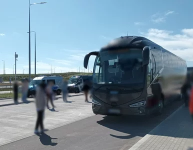 Miniatura: Jechał „na bani” rejsowym autobusem. W...