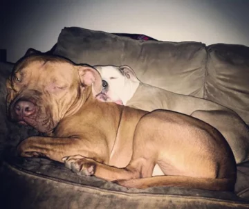 Roman i Spanky 