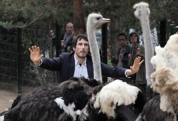kadr z&nbsp;filmu "Daddy Cool" (2017)