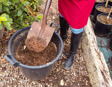 Miniatura: Zrób to przed zimą! Jeden jesienny zabieg...
