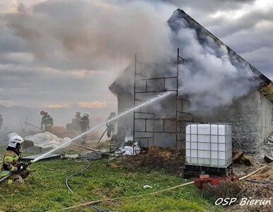 Miniatura: Pożar zabrał mu dom. Policjanci ruszyli z...