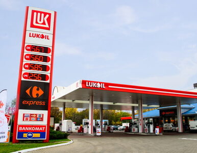 Miniatura: Carrefour i LUKOIL poszerzają współpracę...