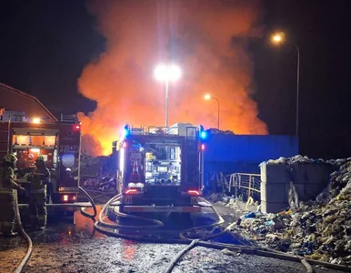 Miniatura: Gigantyczny pożar na Lubelszczyźnie. Ponad...