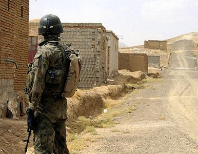 Miniatura: Afganistan: talibowie atakują siły NATO