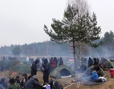 Miniatura: Granica polsko-białoruska. Grupa migrantów...
