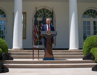 Miniatura: Trump ogłosił rozejm między Rosją a...