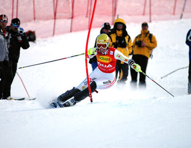 Miniatura: Slalom: nie ma mocnych na Schild