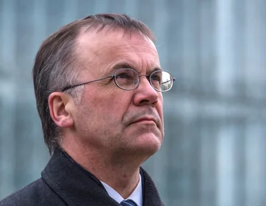 Miniatura: Brat Jarosława Sellina dalej w „areszcie...