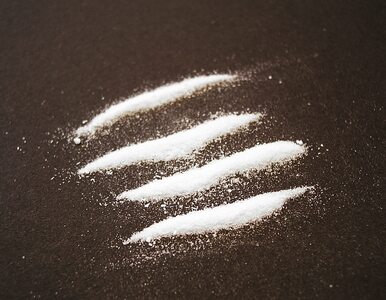 Miniatura: 4-latek wciągnął kokainę, gdy matka spała