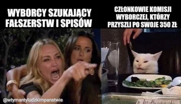 Mem po wyborach parlamentarnych 2019 