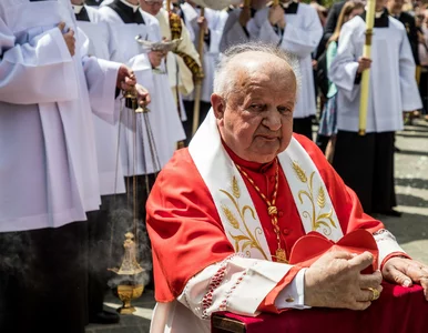 Miniatura: Kardynał Stanisław Dziwisz bez kary...