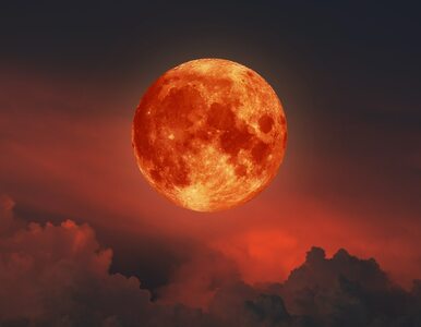 Miniatura: Zaćmienie Księżyca 2023. Będzie doskonale...