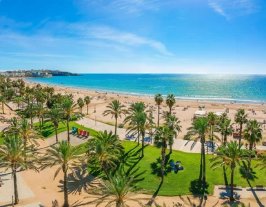 Miniatura: Promocja na Black Friday w Ryanair....