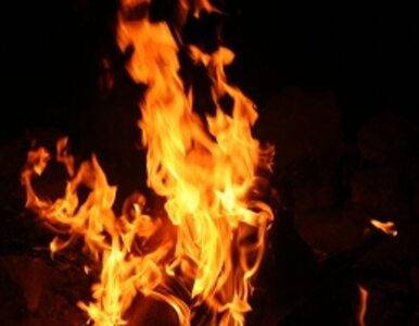 Miniatura: Wenezuela: 13 osób zginęło w "płonącej rzece"