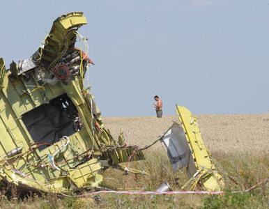 Miniatura: Zestrzelenie MH17. Holandia i Australia...