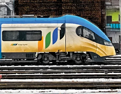 Miniatura: Przekręt w Kolejach Śląskich