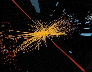 Miniatura: Dyrektor CERN: panie i panowie, mamy boską...